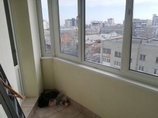 Продам 2 комнатную квартиру фото 17 Саратов