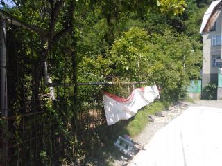 Продается зем участок с плодоносящим садом фото 3 Сочи