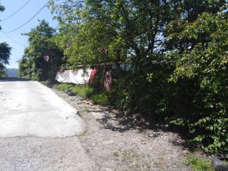 Продается зем участок с плодоносящим садом фото 4 Сочи