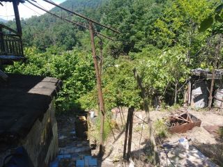 Продается зем участок с плодоносящим садом фото 5 Сочи