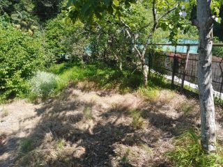 Продается зем участок с плодоносящим садом фото 6 Сочи