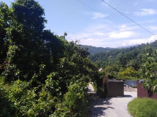 Продается зем участок с плодоносящим садом фото 7 Сочи