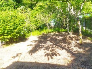 Продается зем участок с плодоносящим садом фото 8 Сочи