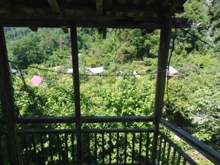 Продается зем участок с плодоносящим садом фото 9 Сочи