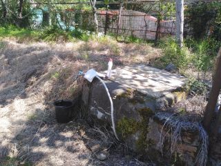 Продается зем участок с плодоносящим садом фото 11 Сочи