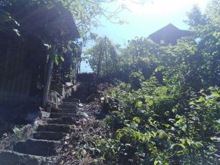 Продается зем участок с плодоносящим садом фото 13 Сочи