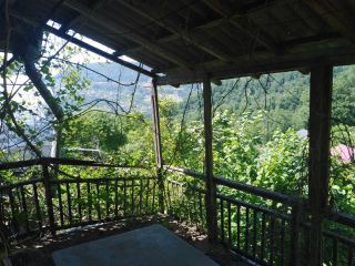 Продается зем участок с плодоносящим садом фото 14 Сочи