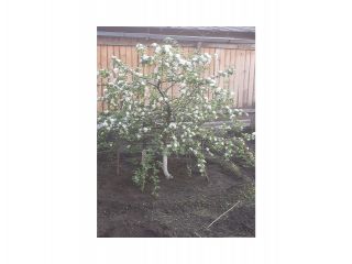 Сдам кирпичный дом косметический ремонт имеется баня на длительный срок фото 24 Бикин