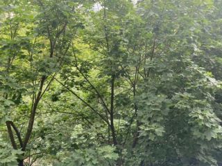 Продаю двухкомнатную квартиру документы готовы фото 16 Москва