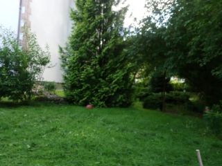 Продается кирпичный дом подключена канализация фото 12 Советск