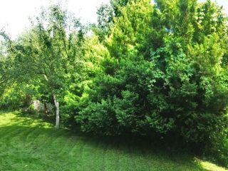 Продается кирпичный дом подключена канализация фото 47 Советск