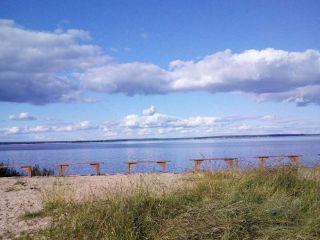 Продаю участок земли с плодоносящим садом фото Деревня Магазейная