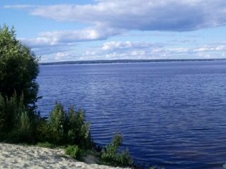 Продаю участок земли с плодоносящим садом фото 3 Деревня Магазейная