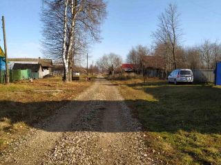 Продаю участок земли с плодоносящим садом фото 5 Деревня Магазейная