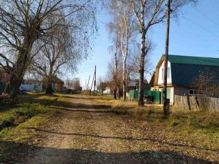 Продаю участок земли с плодоносящим садом фото 6 Деревня Магазейная