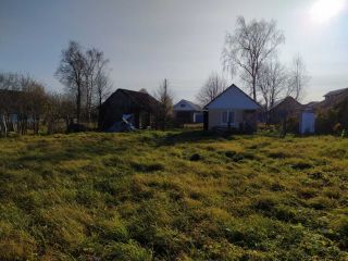 Продаю участок земли с плодоносящим садом фото 7 Деревня Магазейная