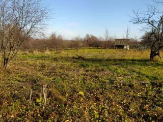 Продаю участок земли с плодоносящим садом фото 8 Деревня Магазейная