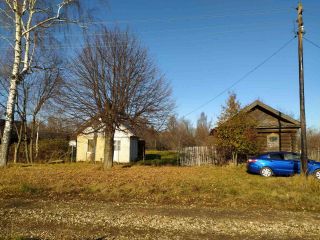 Продаю участок земли с плодоносящим садом фото 9 Деревня Магазейная