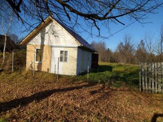 Продаю участок земли с плодоносящим садом фото 10 Деревня Магазейная