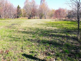 Продаю участок земли с плодоносящим садом фото 11 Деревня Магазейная