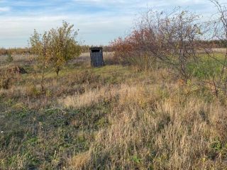 Продаю участок земли с плодоносящим садом фото 5 Деревня Ибраялы