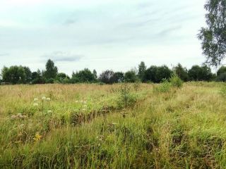 Продаю земельный участок документы на руках фото 1 Кузьминское