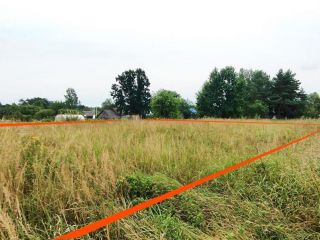 Продаю земельный участок документы на руках фото 5 Кузьминское