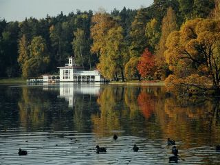 Продам кирпичный дом подключена канализация фото 18 Барвиха