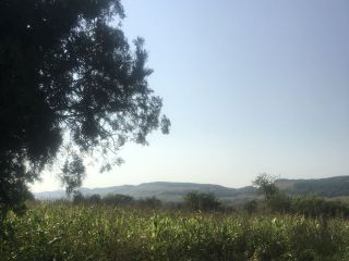 Продам участок земли с коммуникациями рядом река фото Станица Передовая