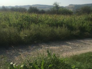 Продам зем участок рядом река с коммуникациями фото 2 Станица Передовая