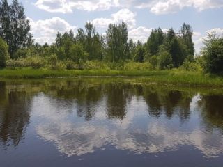 Земельный участок 57,25 Га в дер. Панютино Калязинского района Тверской области фото 6 Калязин