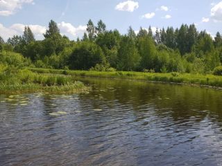 Земельный участок 57,25 Га в дер. Панютино Калязинского района Тверской области фото 7 Калязин