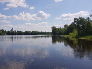 Земельный участок 57,25 Га в дер. Панютино Калязинского района Тверской области фото 8 Калязин