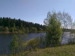 Земельный участок 57,25 Га в дер. Панютино Калязинского района Тверской области фото 9 Калязин