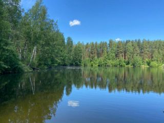 Продам участок земли имеется охрана под индивидуальное жилищное строительство фото 8 Деревня Островки