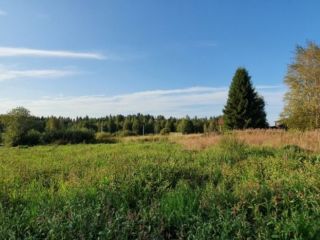 Продам земельный участок земля в собственности фото 3 П Первомайское