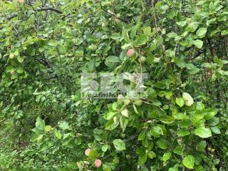 Продаю кирпичный дом экологически чистый район в садовом некоммерческом товариществе фото 37 Весна-79