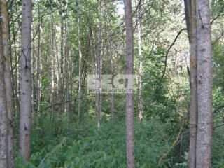 Продается зем участок фото 3 Пчелка