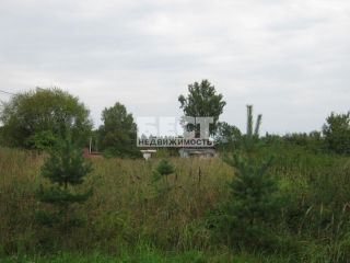 Продам участок земли с плодоносящим садом фото 1 Костыши