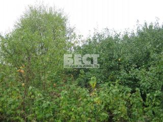 Продам участок земли с плодоносящим садом фото 3 Костыши