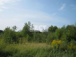 Продается земельный участок фото 3 Петровское