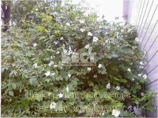 Продается деревянный дом с коммуникациями подключена канализация фото 2 Красногорск