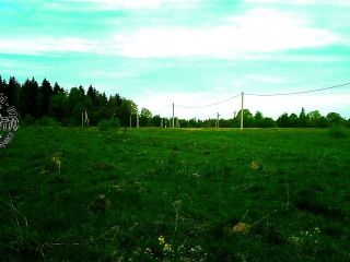 Продается зем участок c отличным видом есть документы фото 2 Телеши