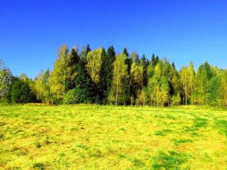 Продается зем участок c отличным видом есть документы фото 4 Телеши