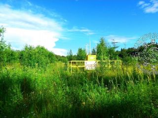 Продается зем участок c отличным видом есть документы фото 10 Телеши