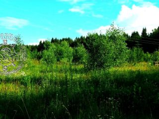 Продается зем участок c отличным видом есть документы фото 11 Телеши