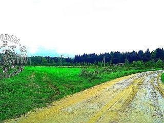 Продается зем участок c отличным видом есть документы фото 12 Телеши