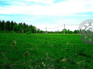 Продается зем участок c отличным видом есть документы фото 13 Телеши