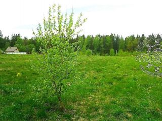 Продается зем участок c отличным видом есть документы фото 14 Телеши