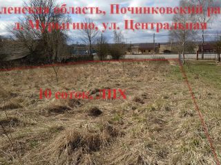 Продается участок земли под личное подсобное хозяйство рядом асфальт фото 2 Мурыгино